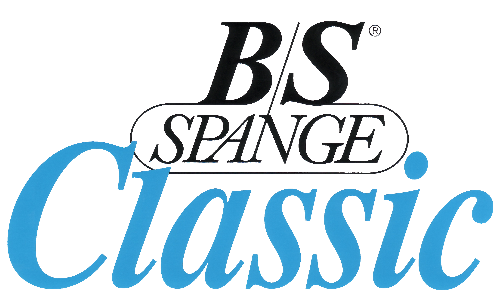 Bs_Spange_Umriss.png